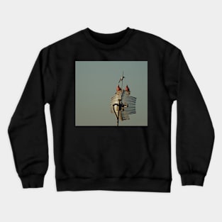 Pair of Galahs Crewneck Sweatshirt